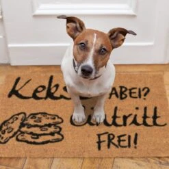 Fußmatte Kekse Dabei? Eintritt Frei! In Natur/Schwarz - 40 X 60 Cm -Wohndekoration Geschäft relaxdays fussmatte kekse dabei eintritt frei in natur schwarz 40 x 60 cm 4